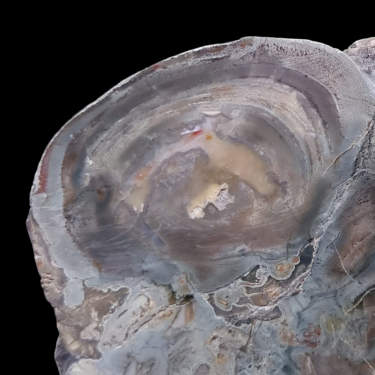 Agate - Lierbach Valley, Freiburg