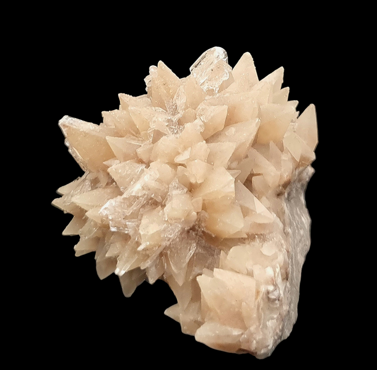 Calcite & Gypsum