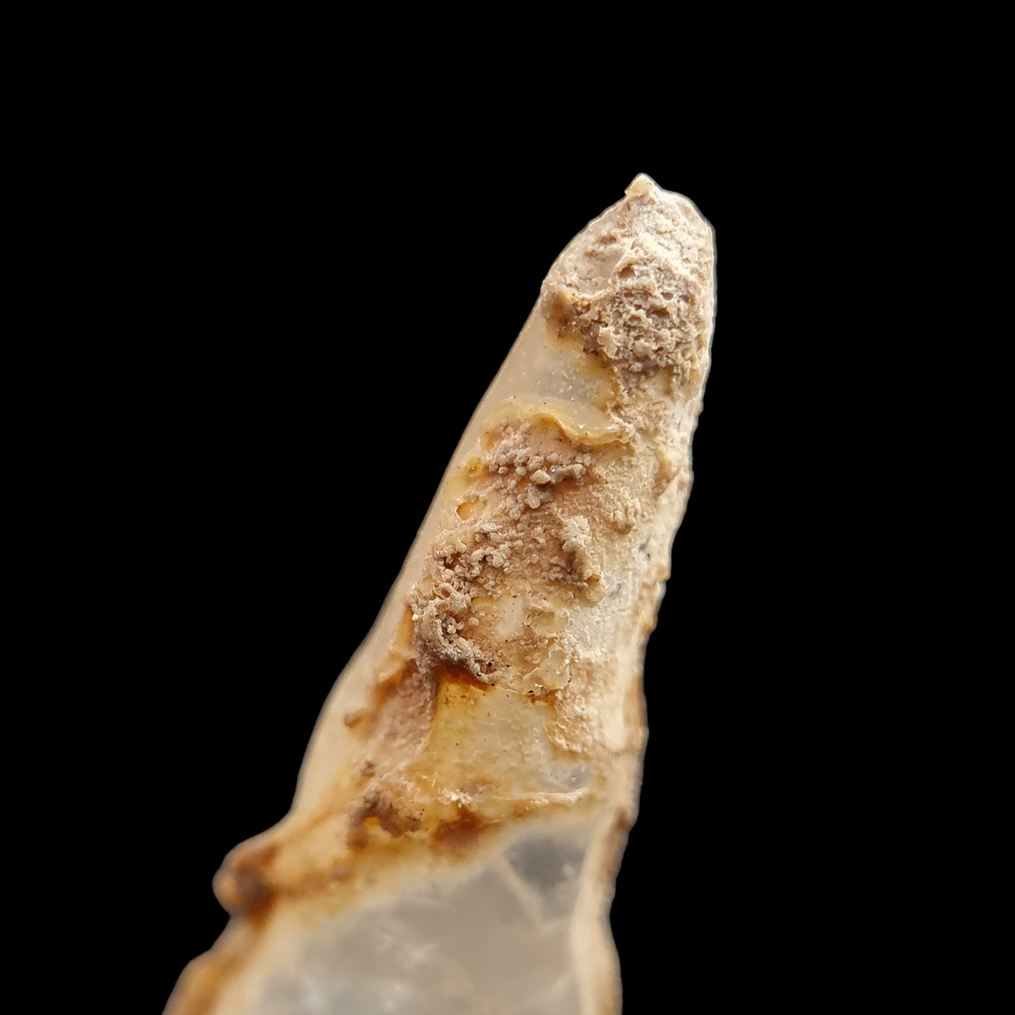 Calcite Stalagtite - Winterberg Quarry, Harz