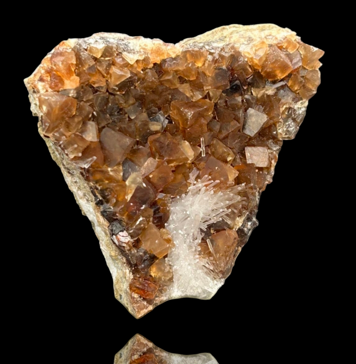 Natrolite & Calcite on Petrified Wood - Sipi Caves, Uganda