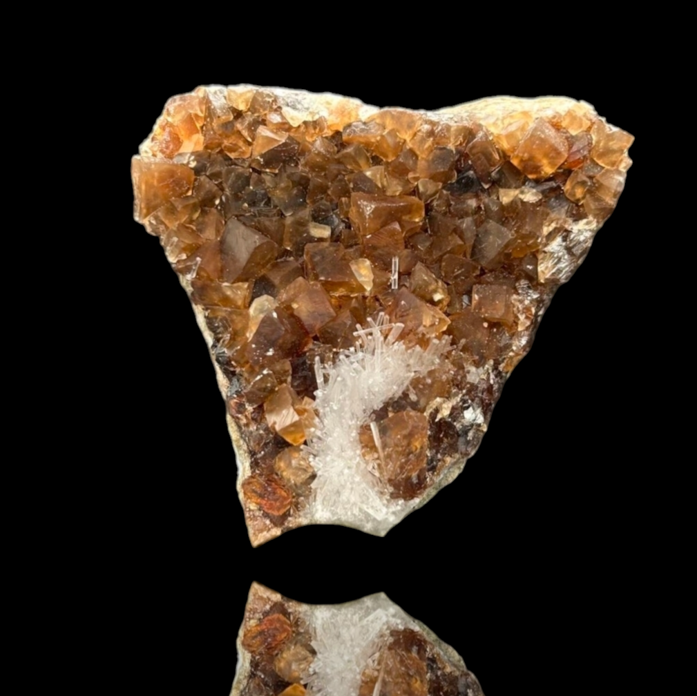 Natrolite & Calcite on Petrified Wood - Sipi Caves, Uganda