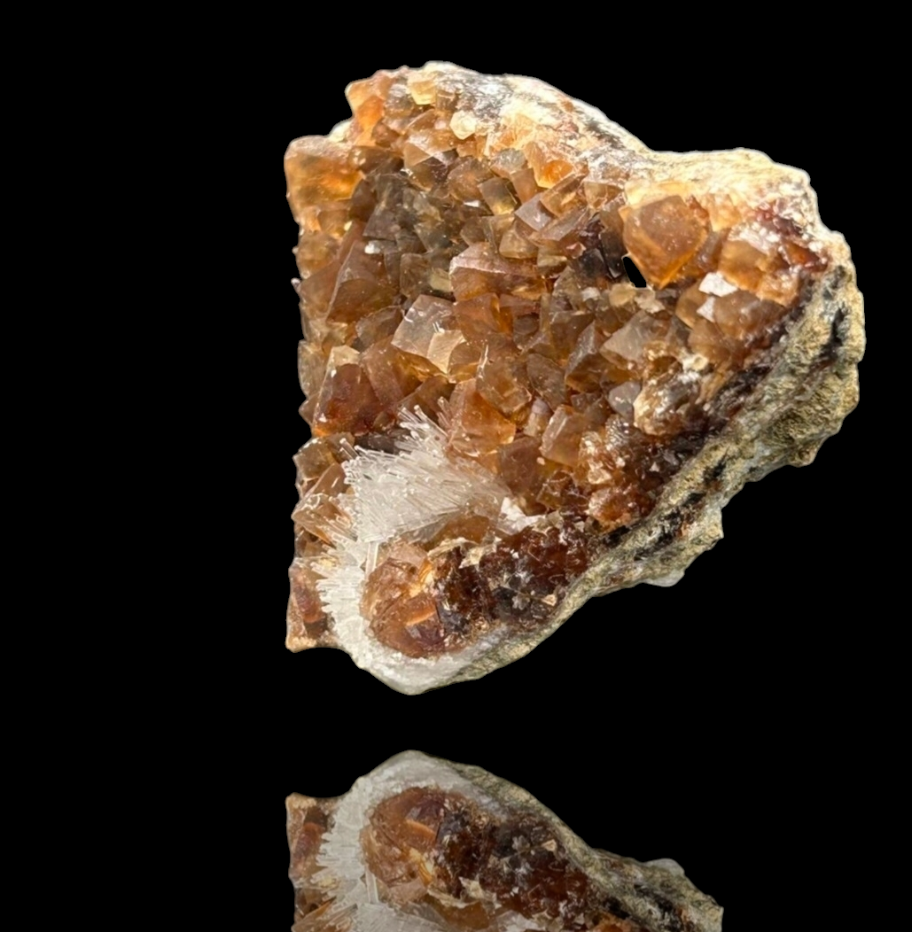 Natrolite & Calcite on Petrified Wood - Sipi Caves, Uganda