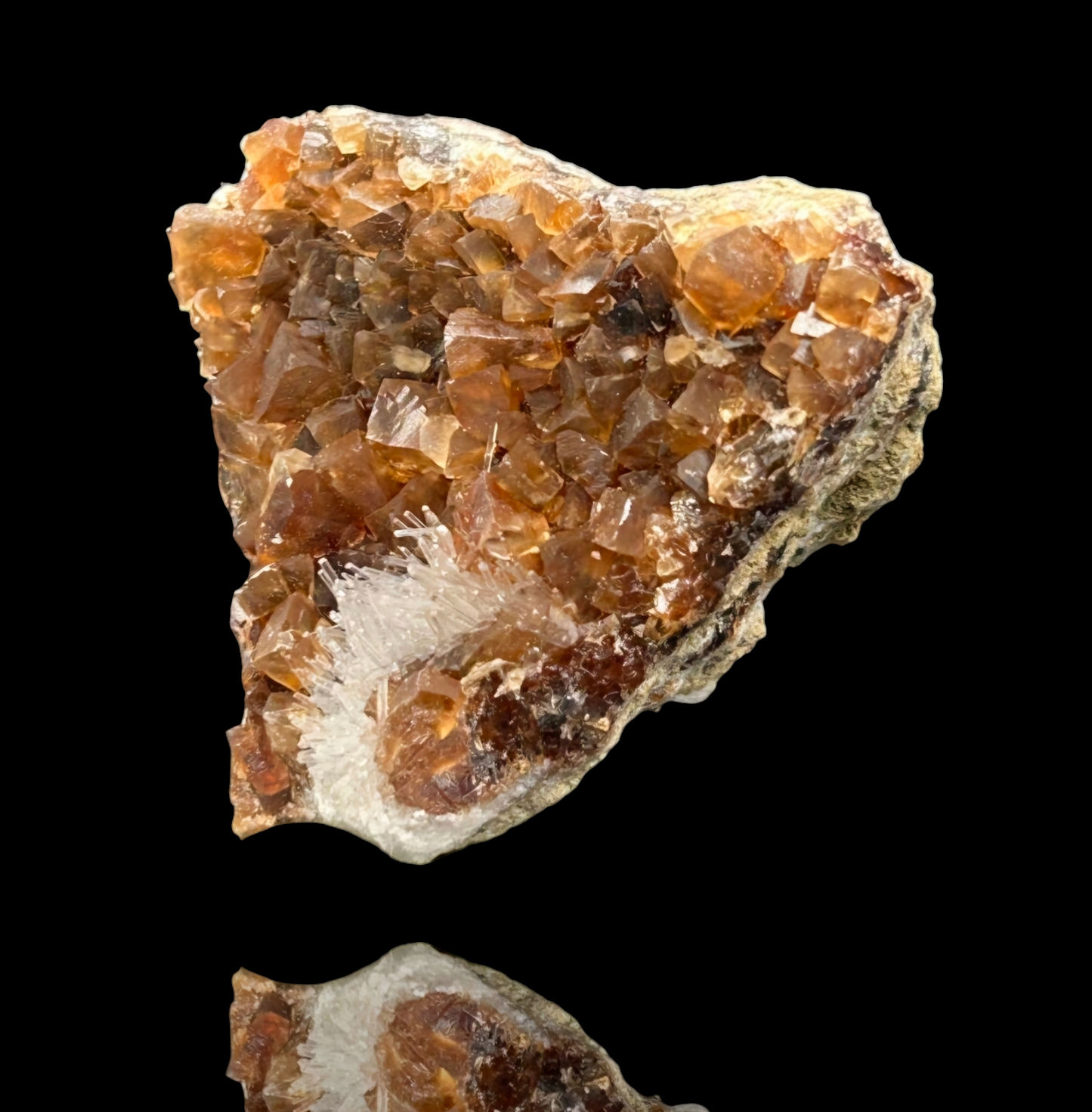 Natrolite & Calcite on Petrified Wood - Sipi Caves, Uganda