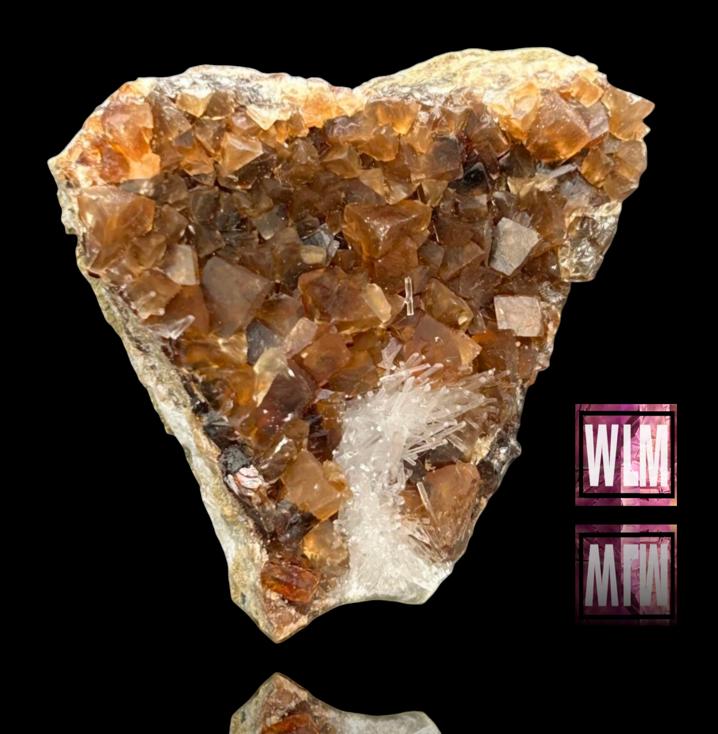 Natrolite & Calcite on Petrified Wood - Sipi Caves, Uganda