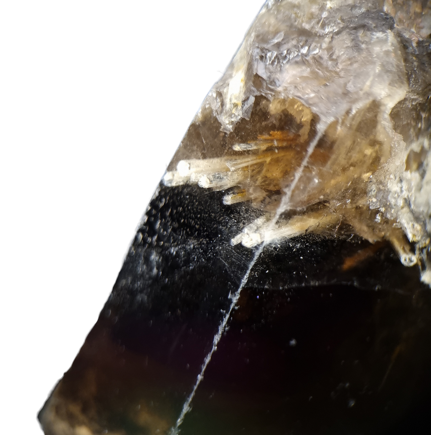 Epididymit in Rauchquarz/Epididymite in Smoky Quartz - Mount Malosa, Malawi