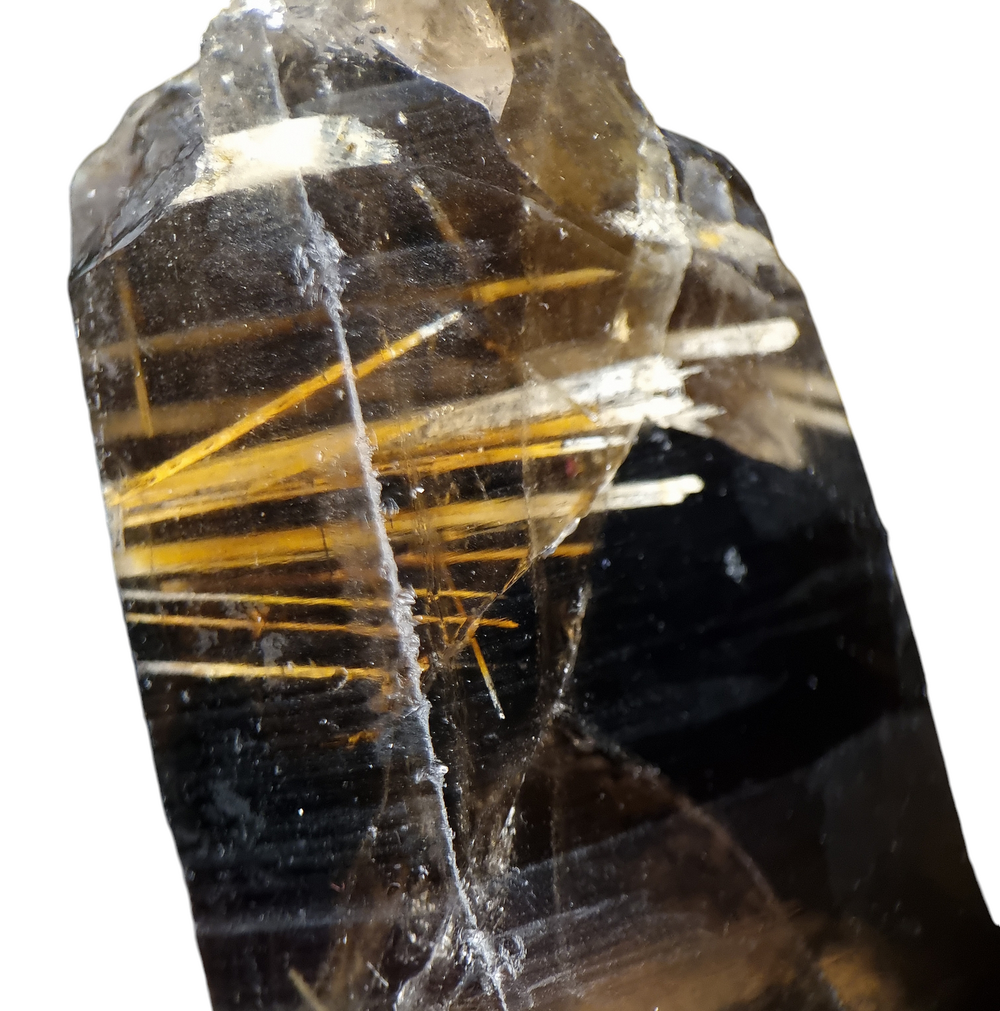 Epididymit in Rauchquarz/Epididymite in Smoky Quartz - Mount Malosa, Malawi