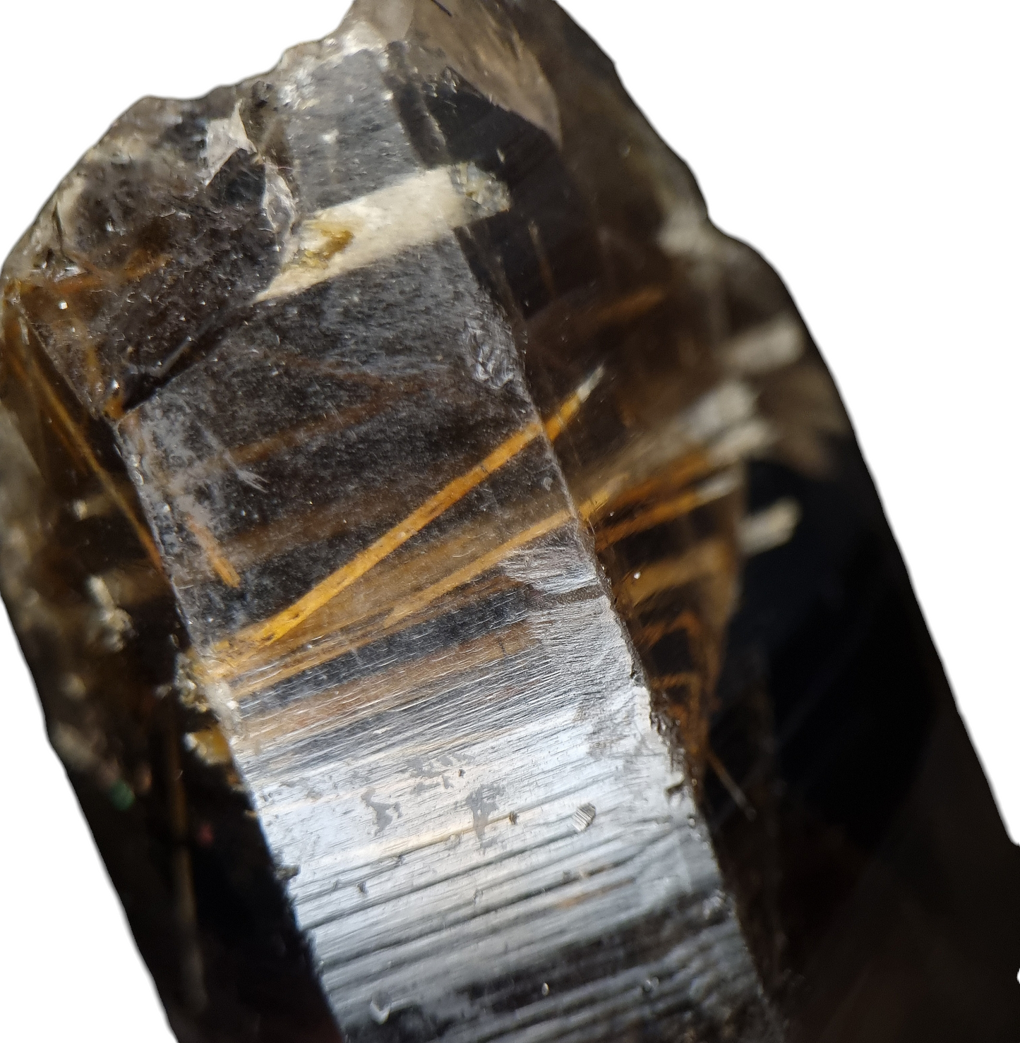 Epididymit in Rauchquarz/Epididymite in Smoky Quartz - Mount Malosa, Malawi