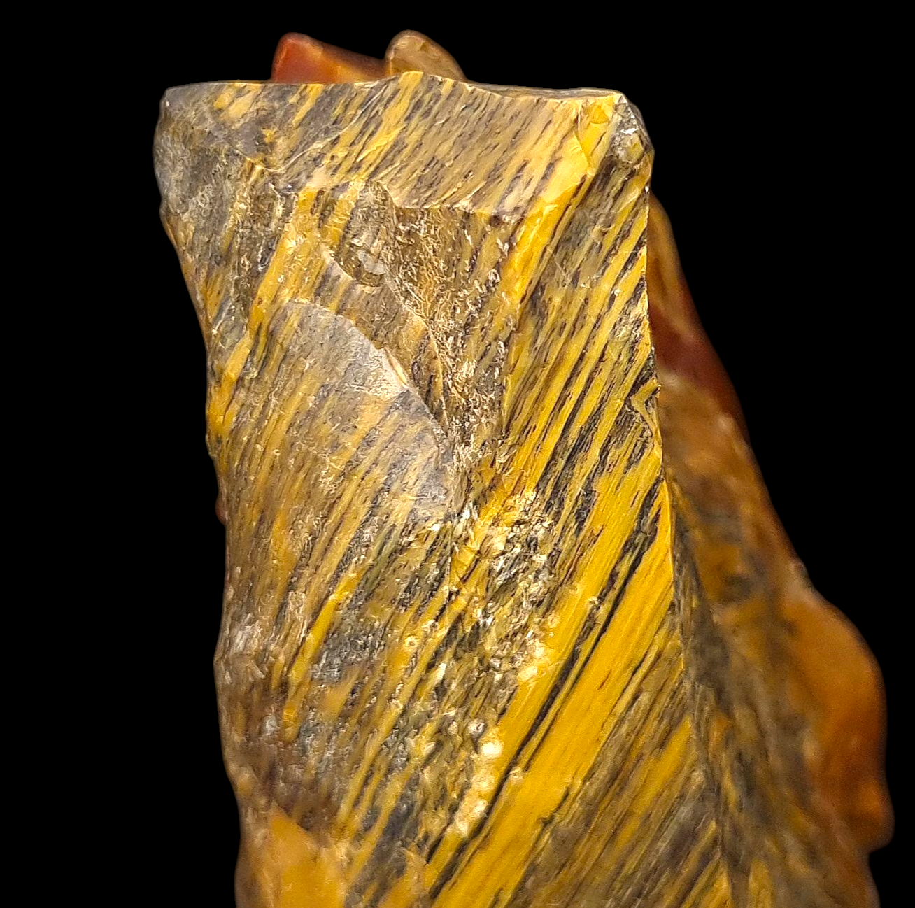 Holzopal/Opalized Wood - Povraznik, Slowakei/Slovakia