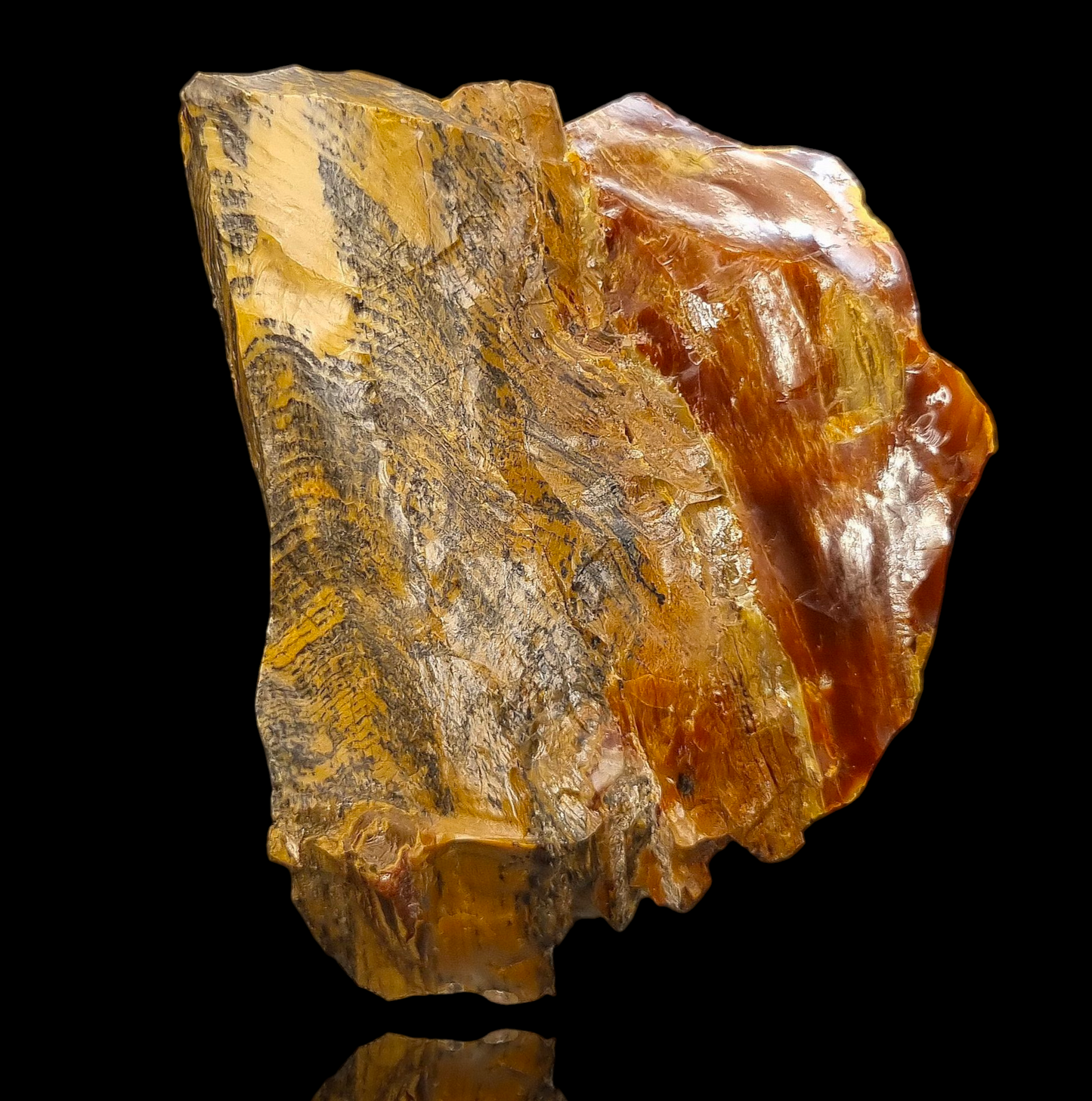 Holzopal/Opalized Wood - Povraznik, Slowakei/Slovakia