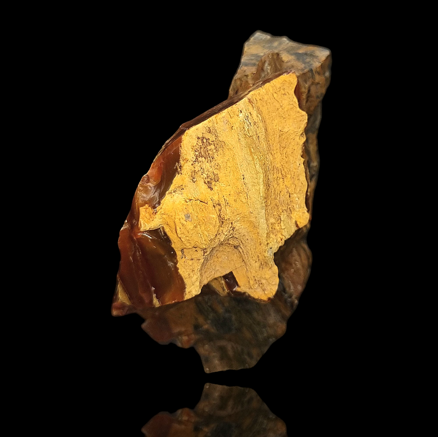 Holzopal/Opalized Wood - Povraznik, Slowakei/Slovakia