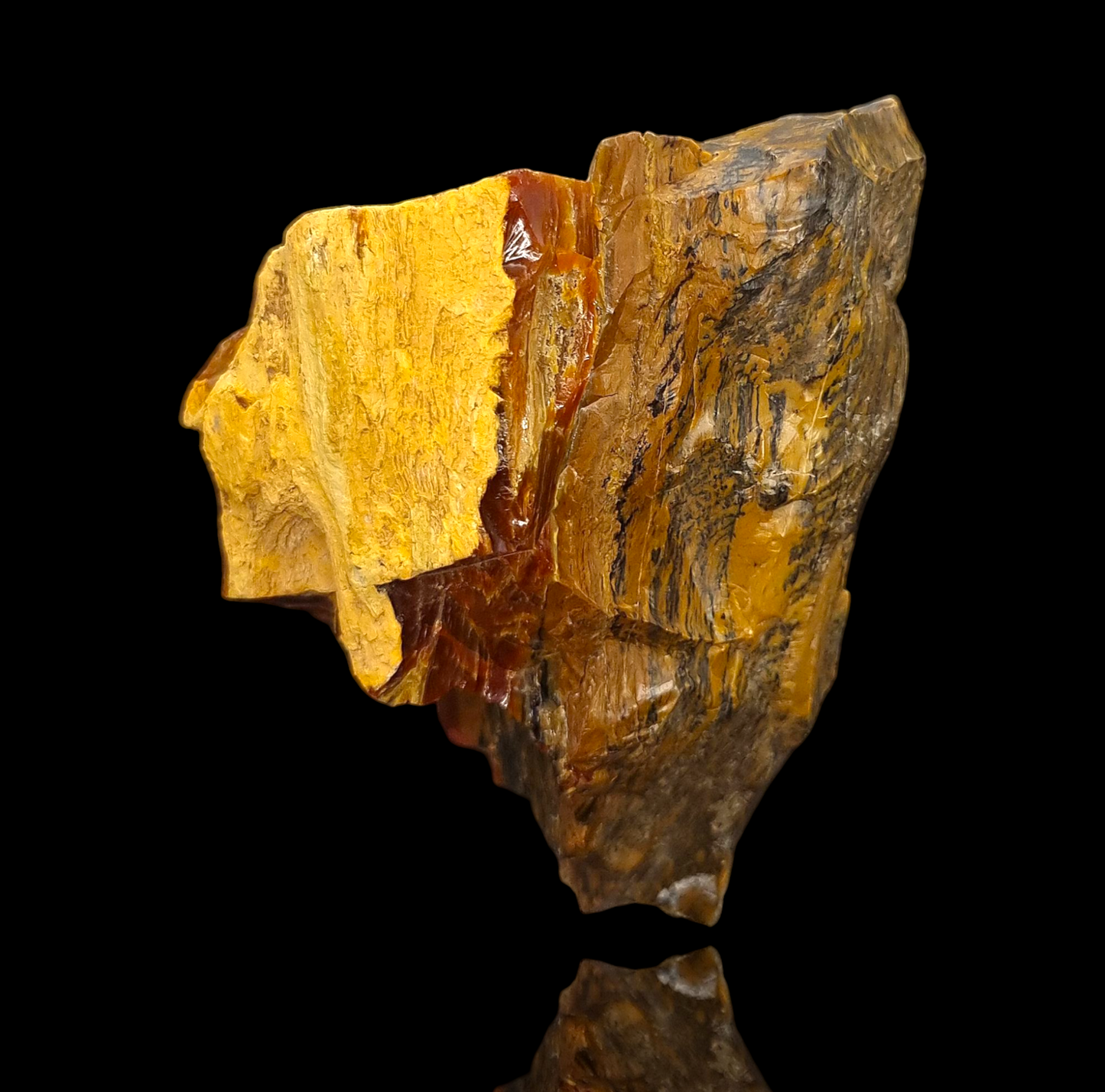 Holzopal/Opalized Wood - Povraznik, Slowakei/Slovakia