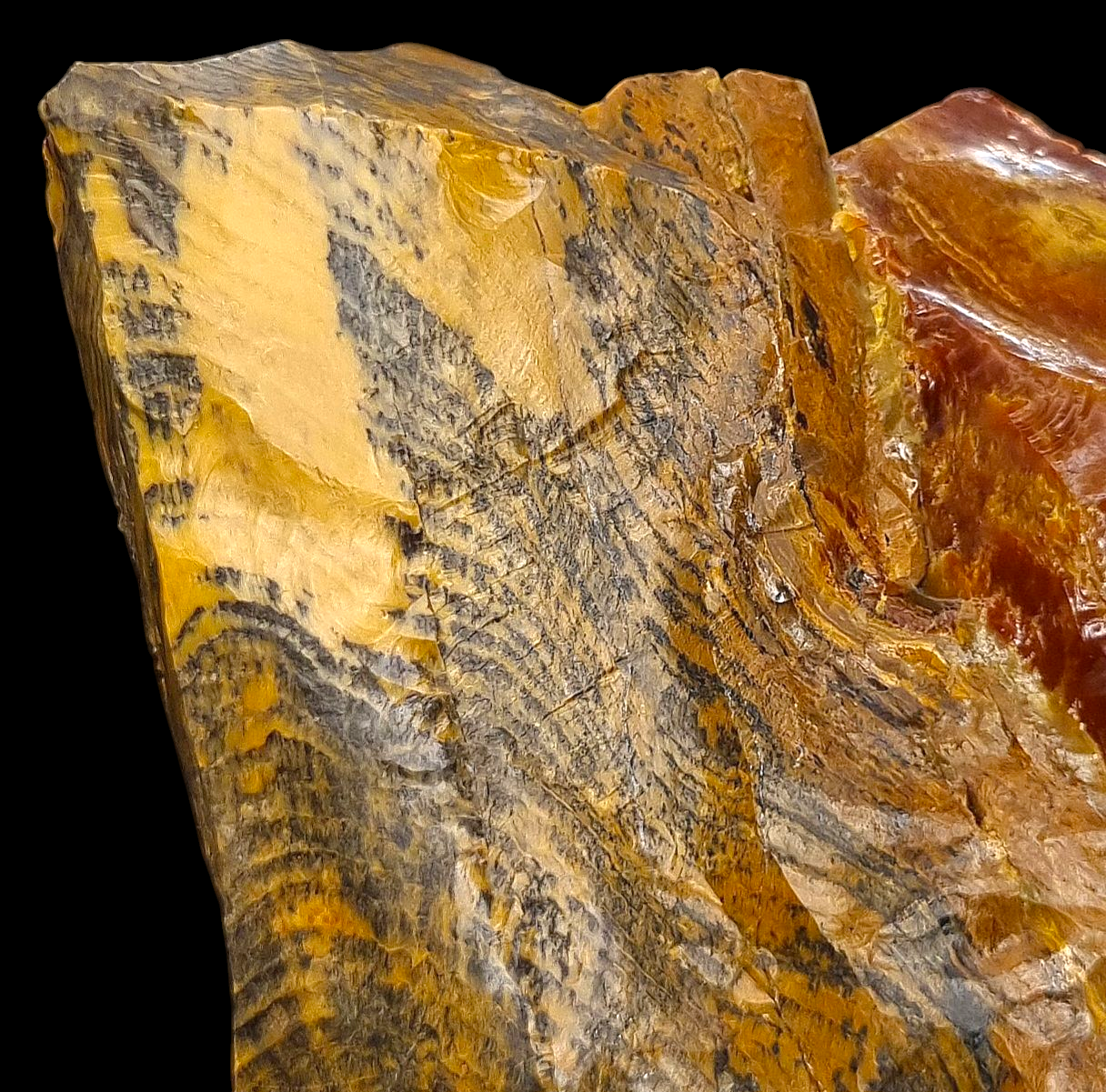 Holzopal/Opalized Wood - Povraznik, Slowakei/Slovakia