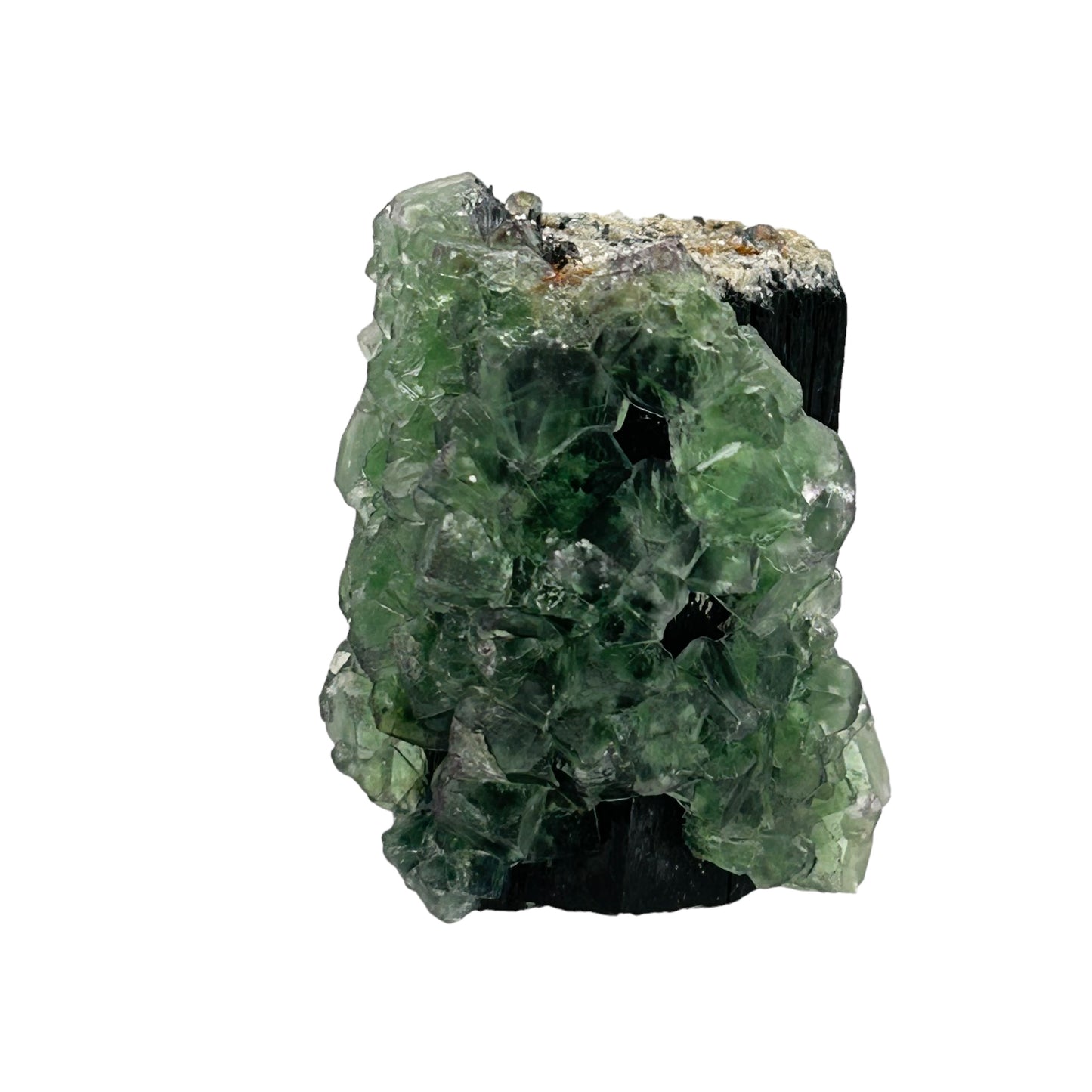 Fluorite on Schorl Tourmaline - Erongo, Namibia