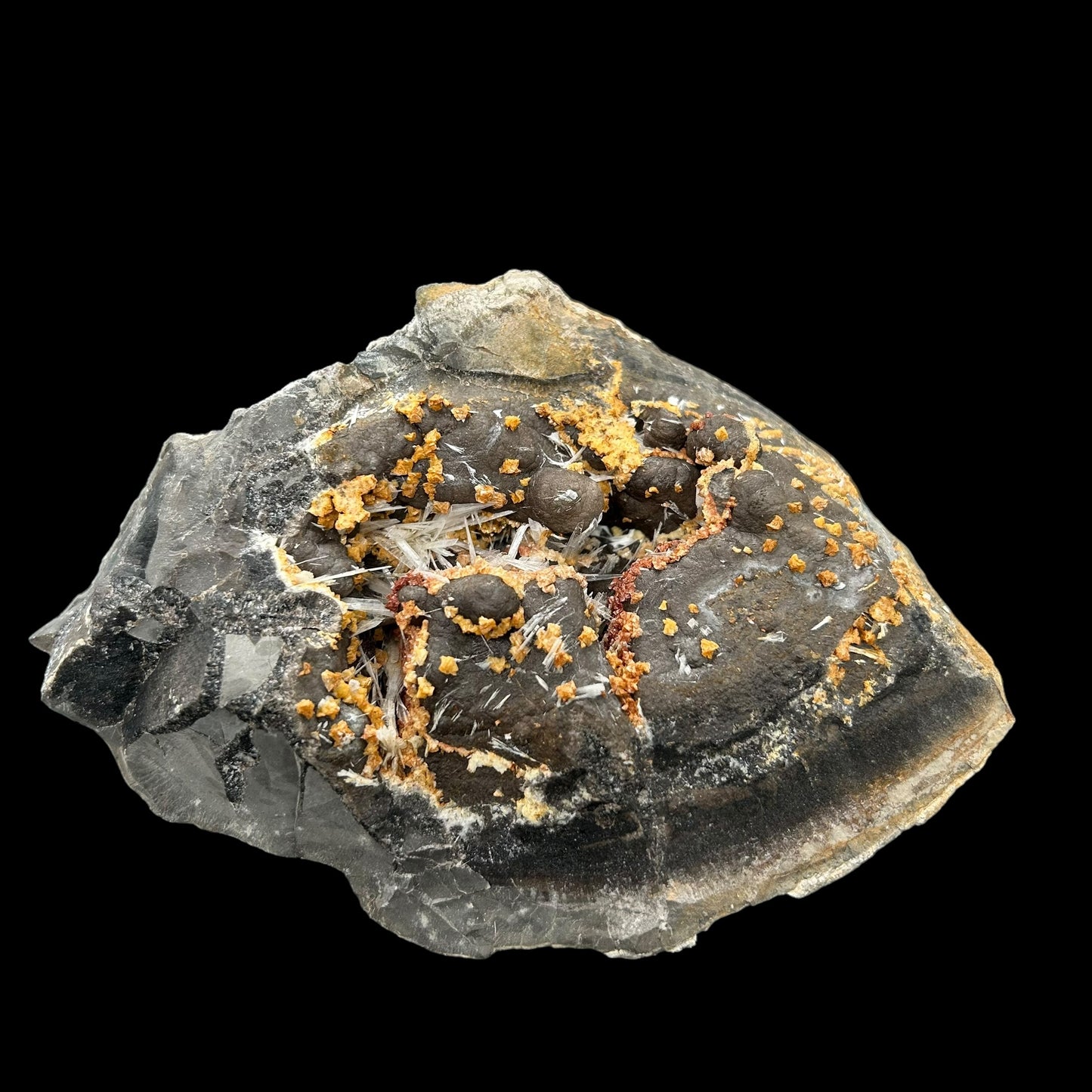 Celestine, Dolomite in Septarie - Serres, Haute-Alpes, France