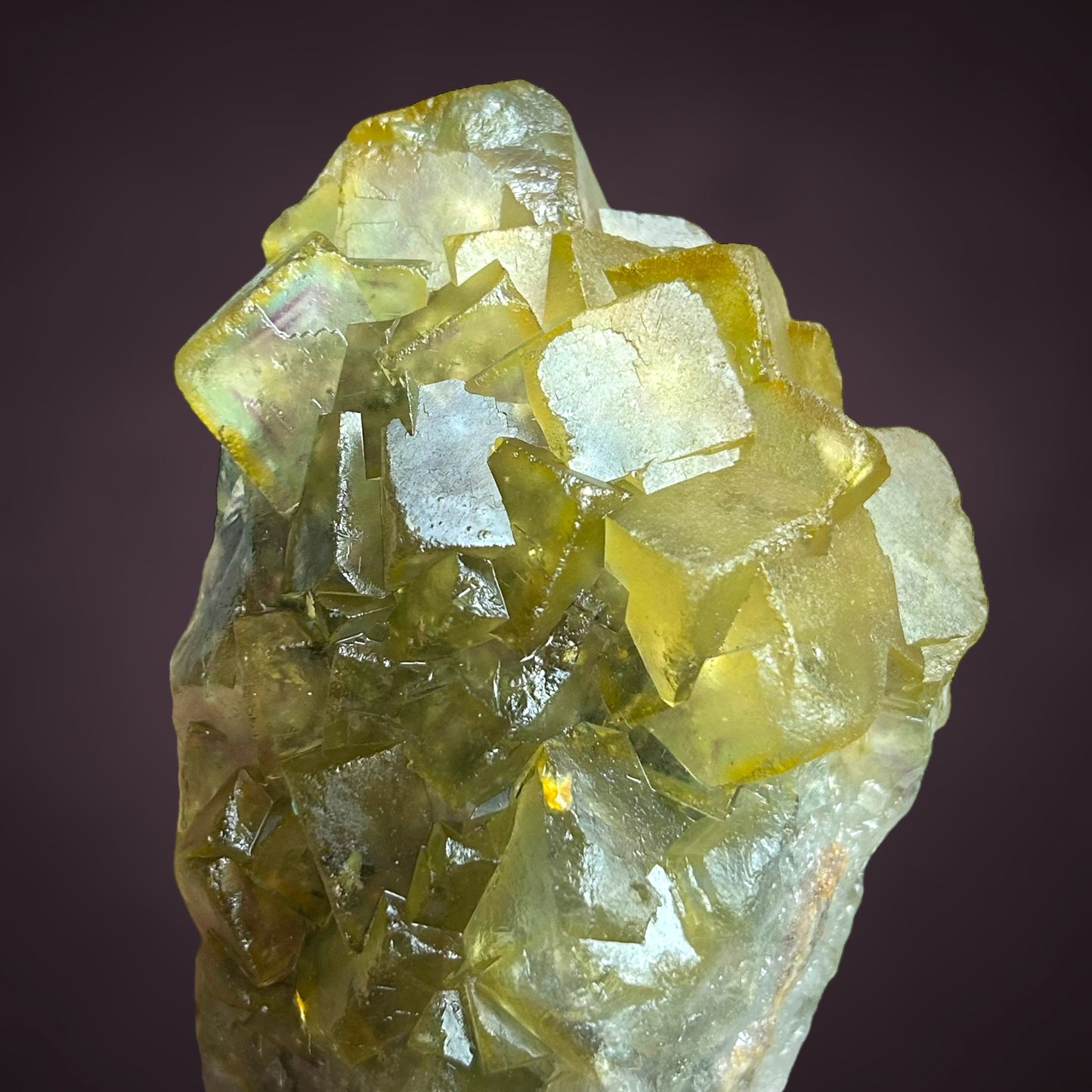 Fluorit/e - Okorusu, Namibia