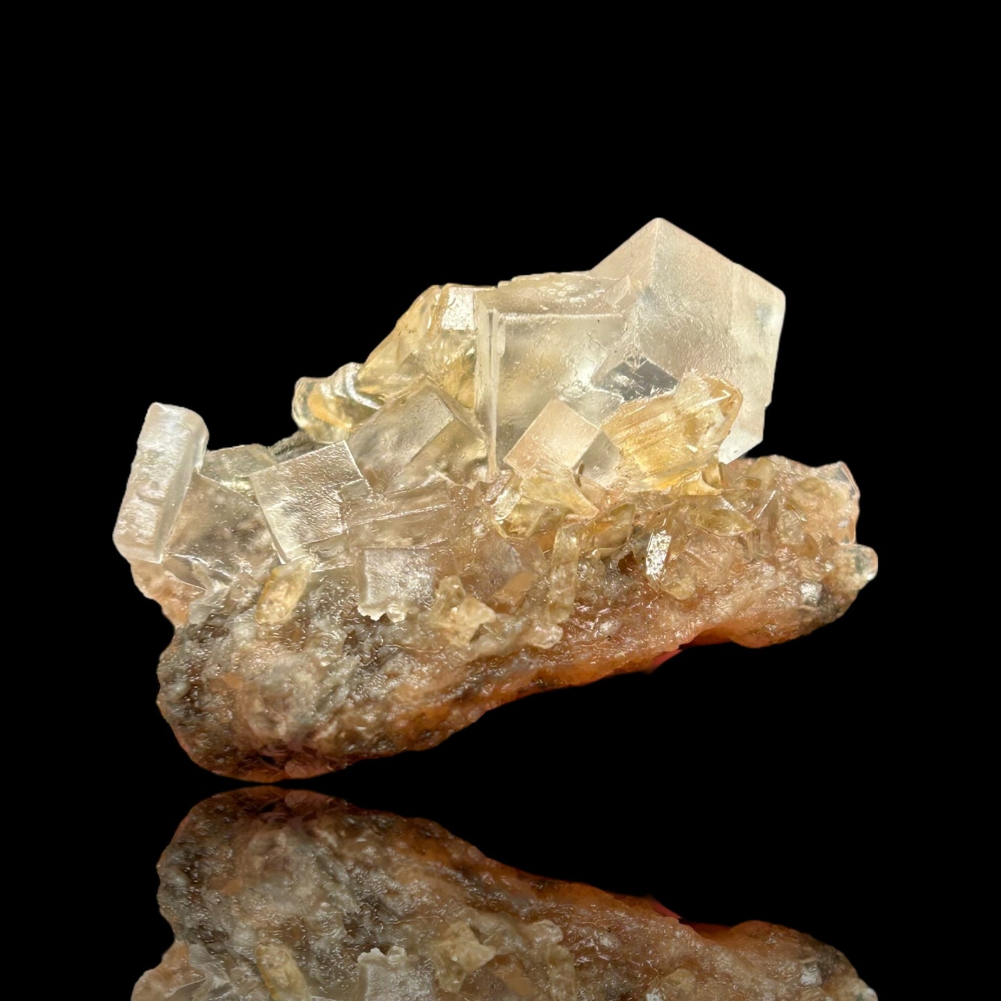 Halit/e, Gips/Gypsum - Bleicherode, Thuringia 🇩🇪