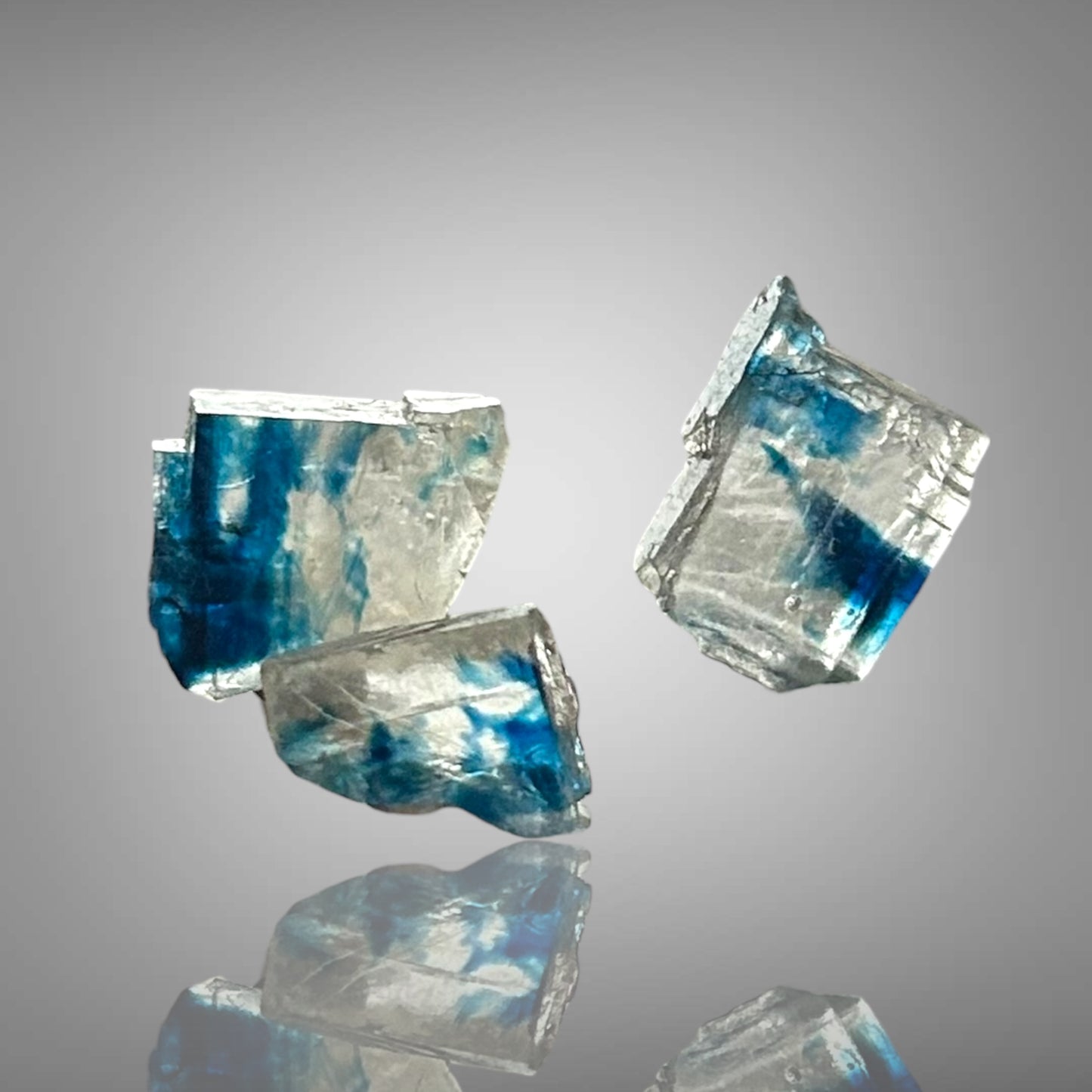 Blauer Halit - Zielitz, Sachsen-Anhalt 🇩🇪