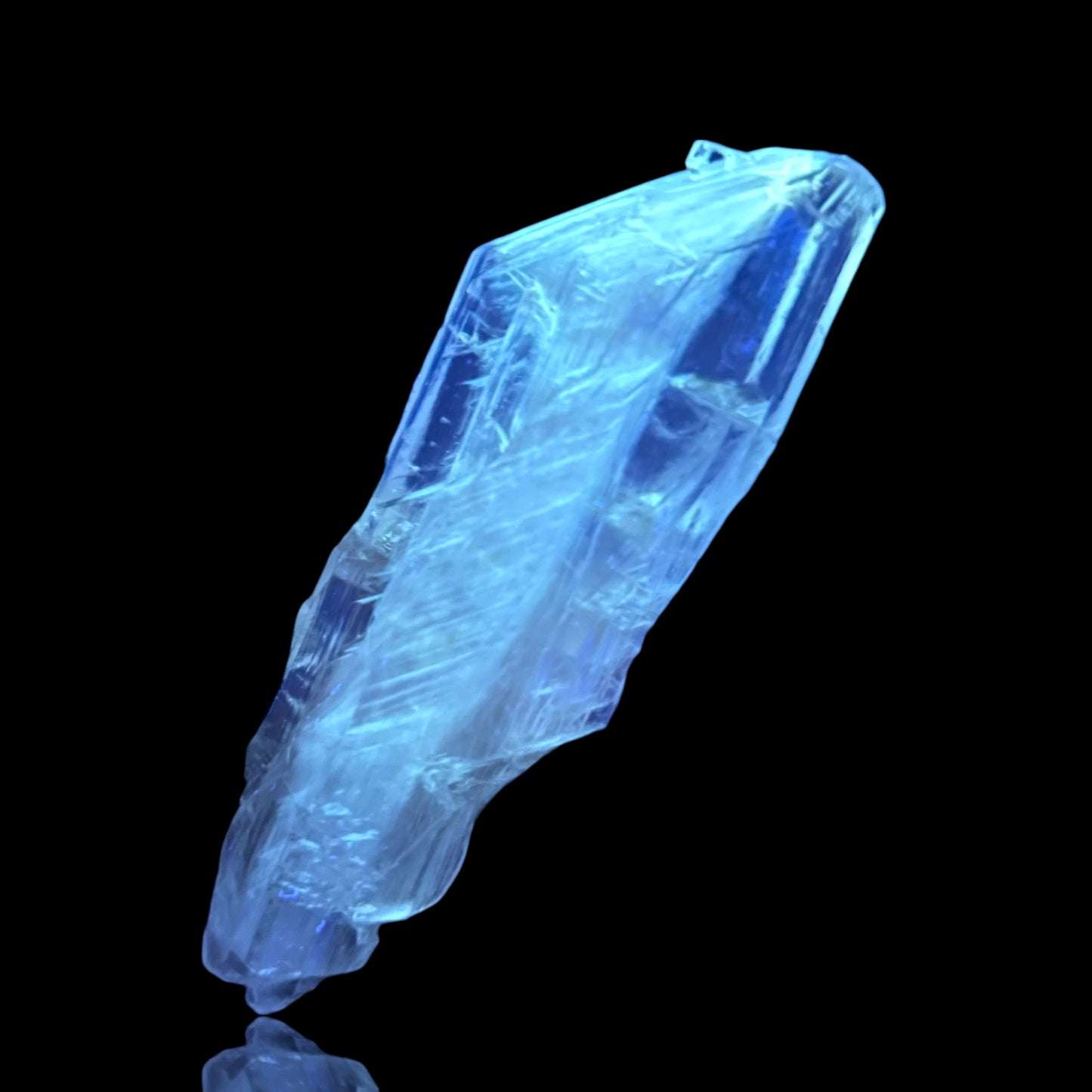 Goldener Gips - Bleicherode 🇩🇪