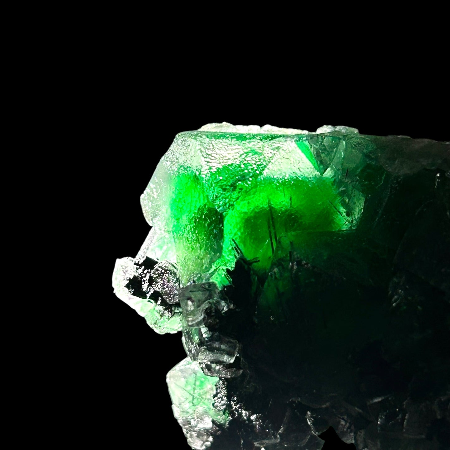 Phantom fluorite, Schorl Tourmaline - Erongo, Namibia