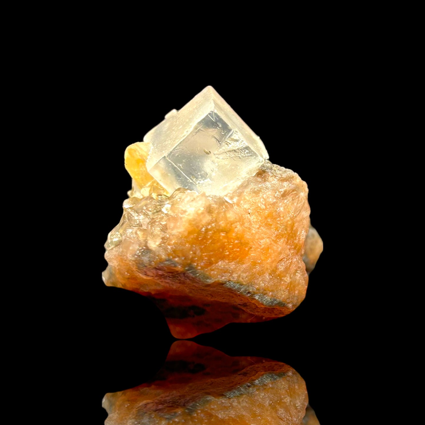 Halit/e, Gips/Gypsum - Bleicherode, Thuringia 🇩🇪