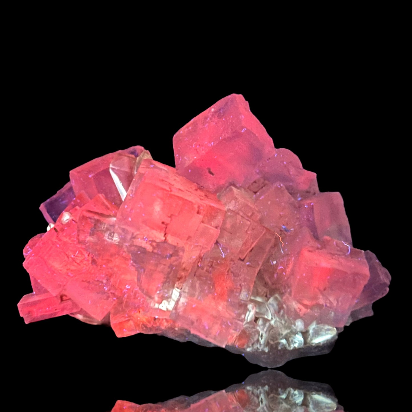 Mangano Halit/e, Gypsum - Bleicherode, Thüringen