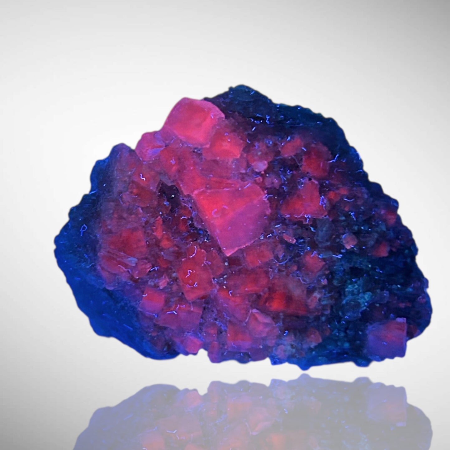 Halit - Bleicherode, Thüringen