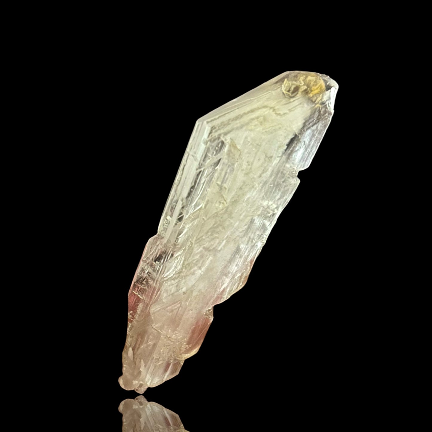 Goldener Gips - Bleicherode 🇩🇪