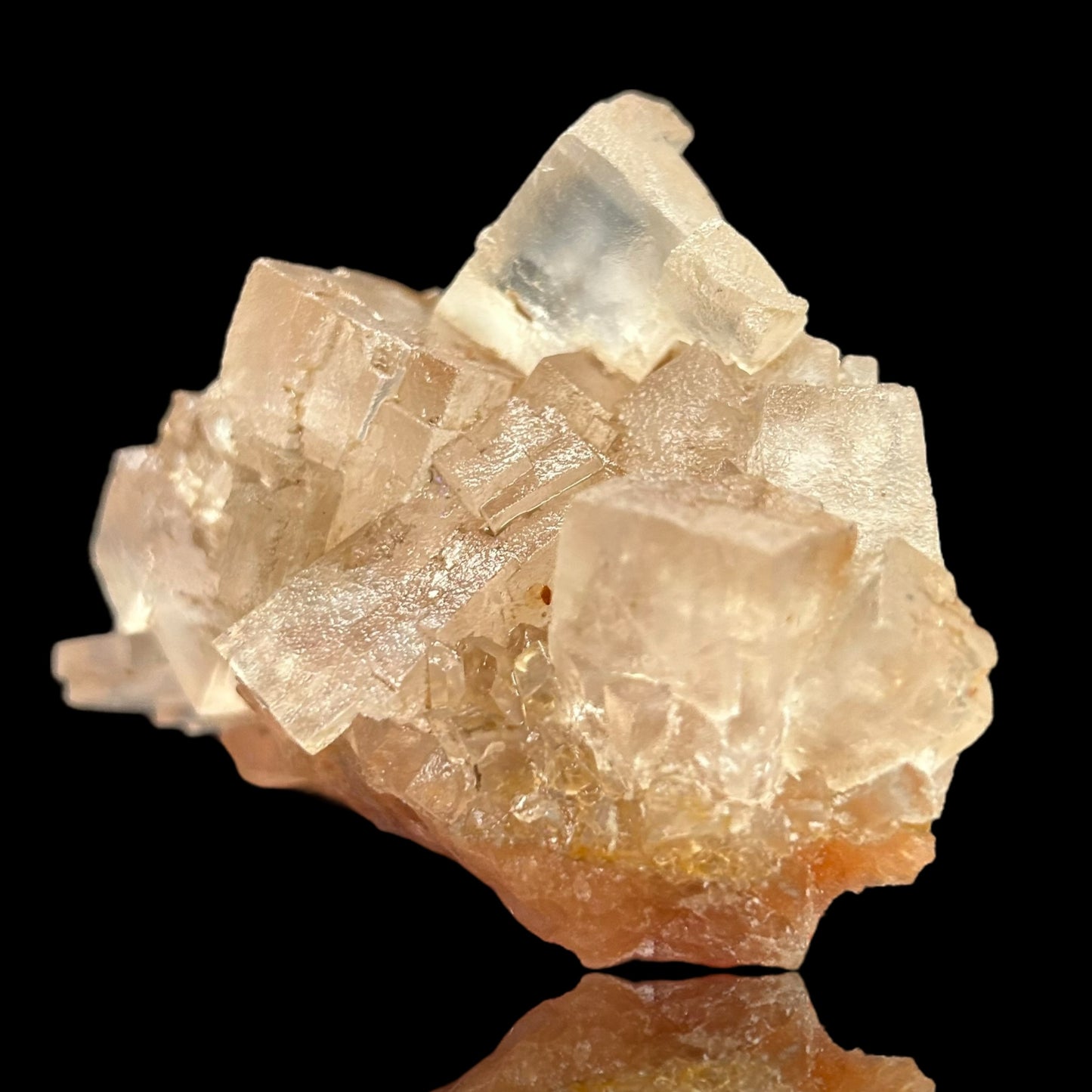 Mangano Halit/e, Gypsum - Bleicherode, Thüringen