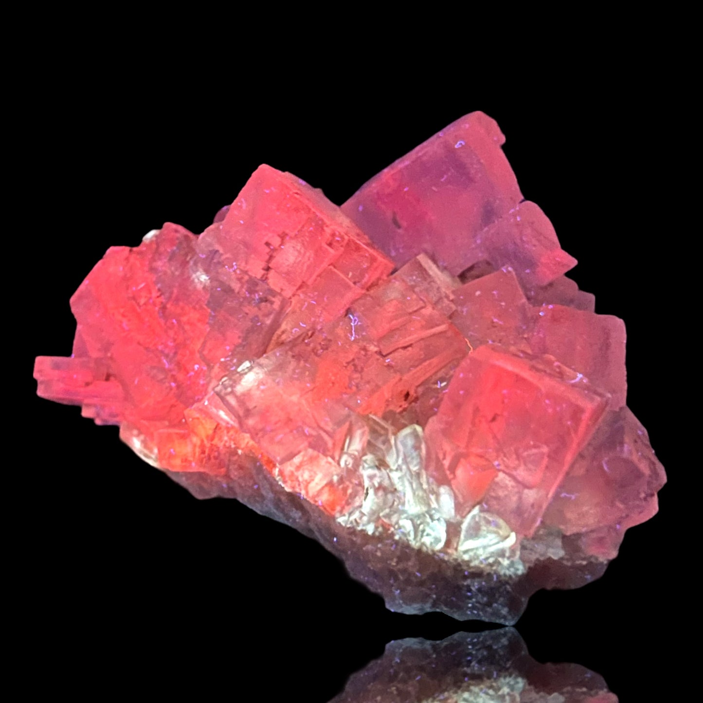 Mangano Halit/e, Gypsum - Bleicherode, Thüringen