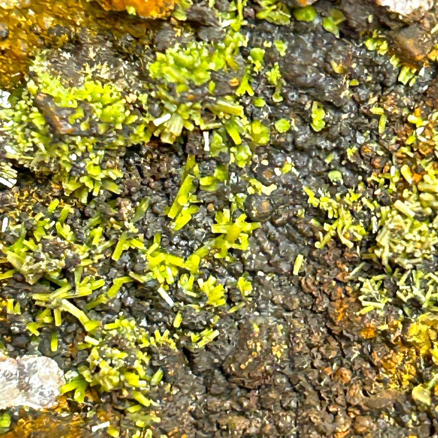 Pyromorphit - Grube Katzenpfad, Rheinland-Pfalz, Deutschland