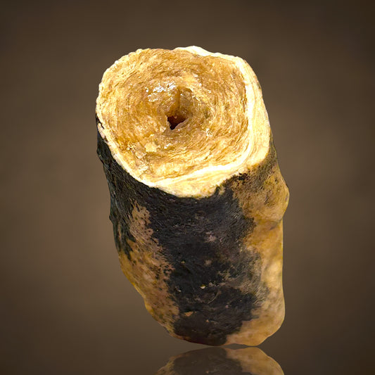 Stalactite - Arta Cave, Mallorca