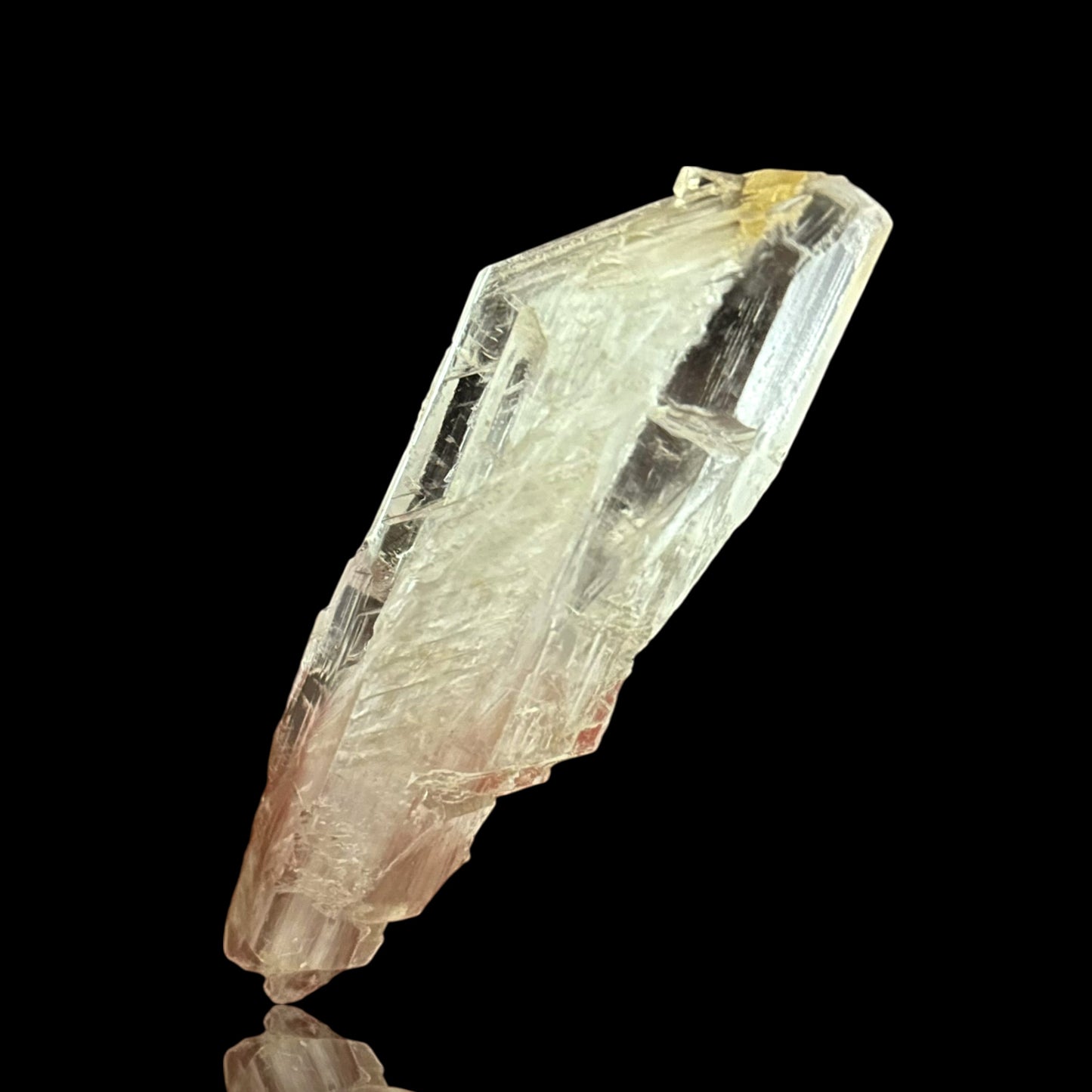 Goldener Gips - Bleicherode 🇩🇪