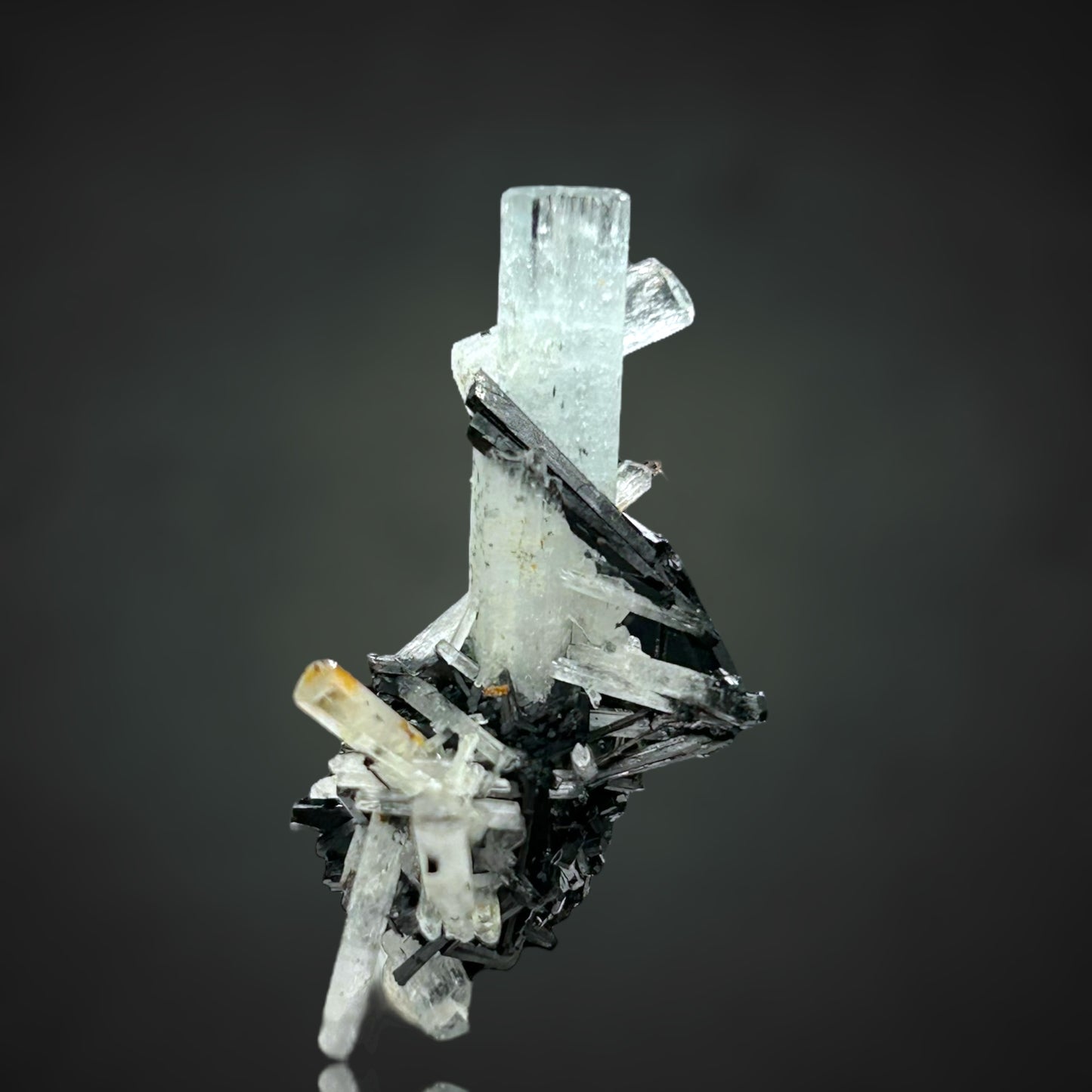 Aquamarin/e, Schorl Tourmaline - Erongo, Namibia