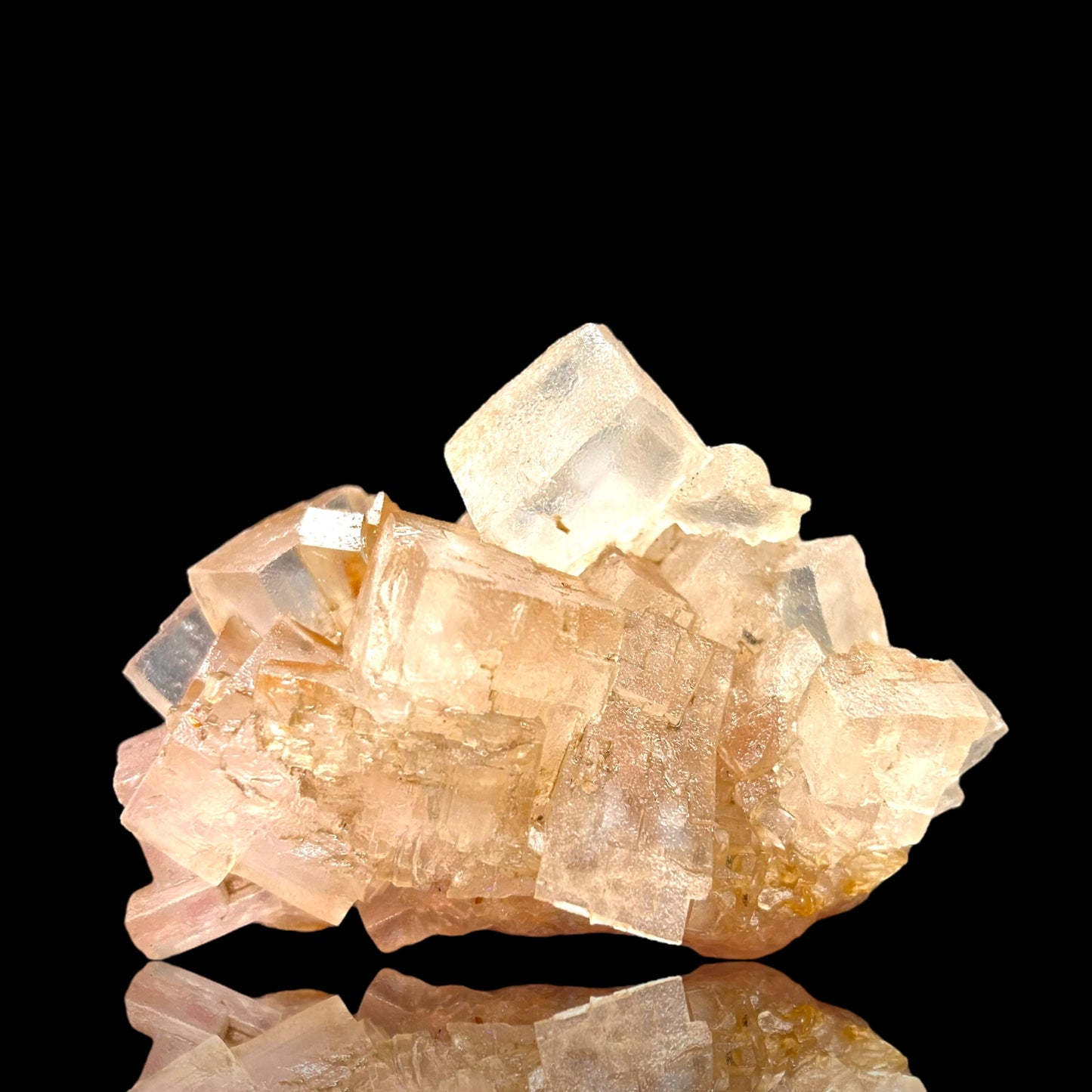 Mangano Halit/e, Gypsum - Bleicherode, Thüringen