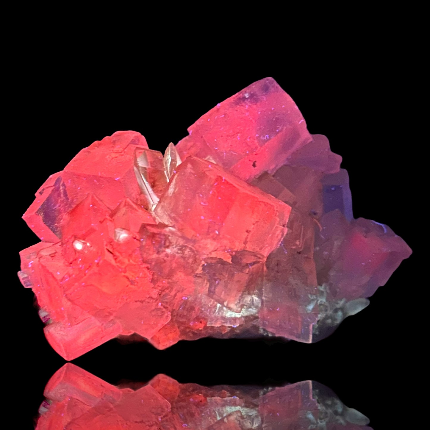 Mangano Halit/e, Gypsum - Bleicherode, Thüringen