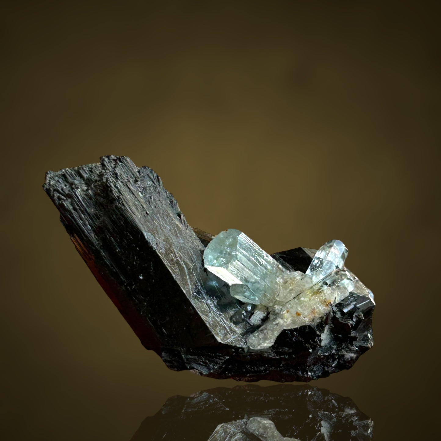 Aquamarine, Schorl Tourmaline - Erongo, Namibia
