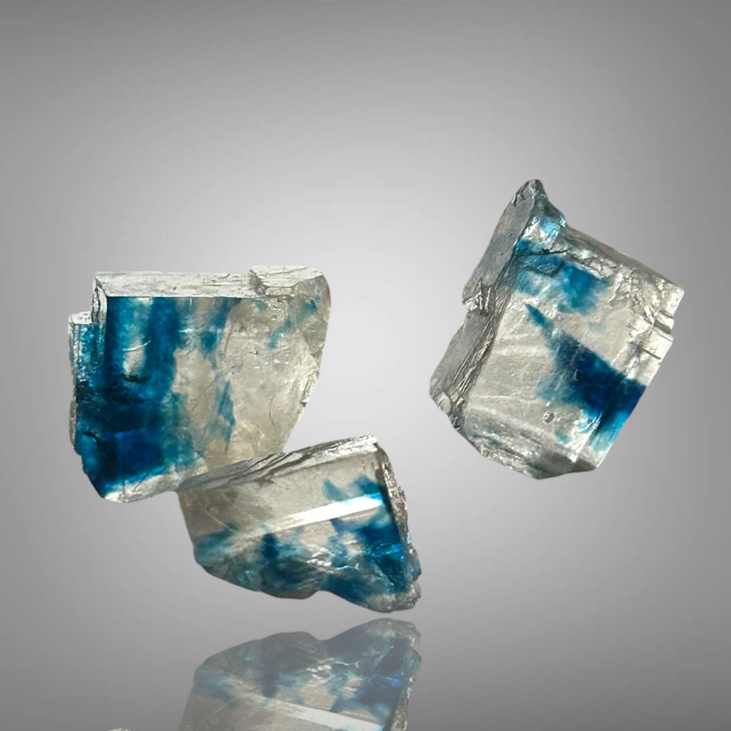 Blauer Halit - Zielitz, Sachsen-Anhalt 🇩🇪