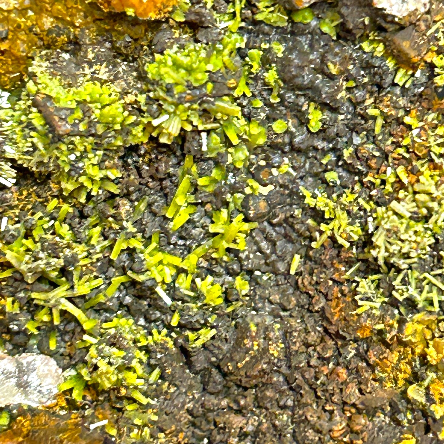 Pyromorphit - Grube Katzenpfad, Rheinland-Pfalz, Deutschland