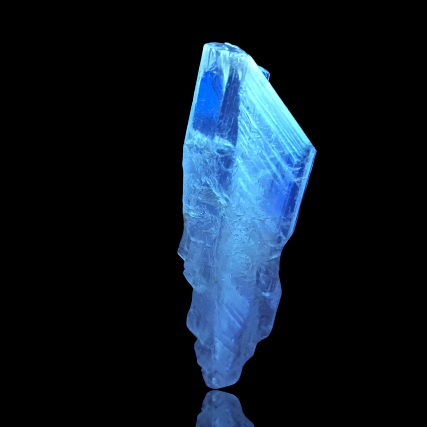 Goldener Gips - Bleicherode 🇩🇪