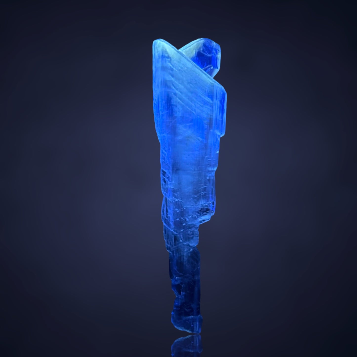 Goldener Gips - Bleicherode, Deutschland