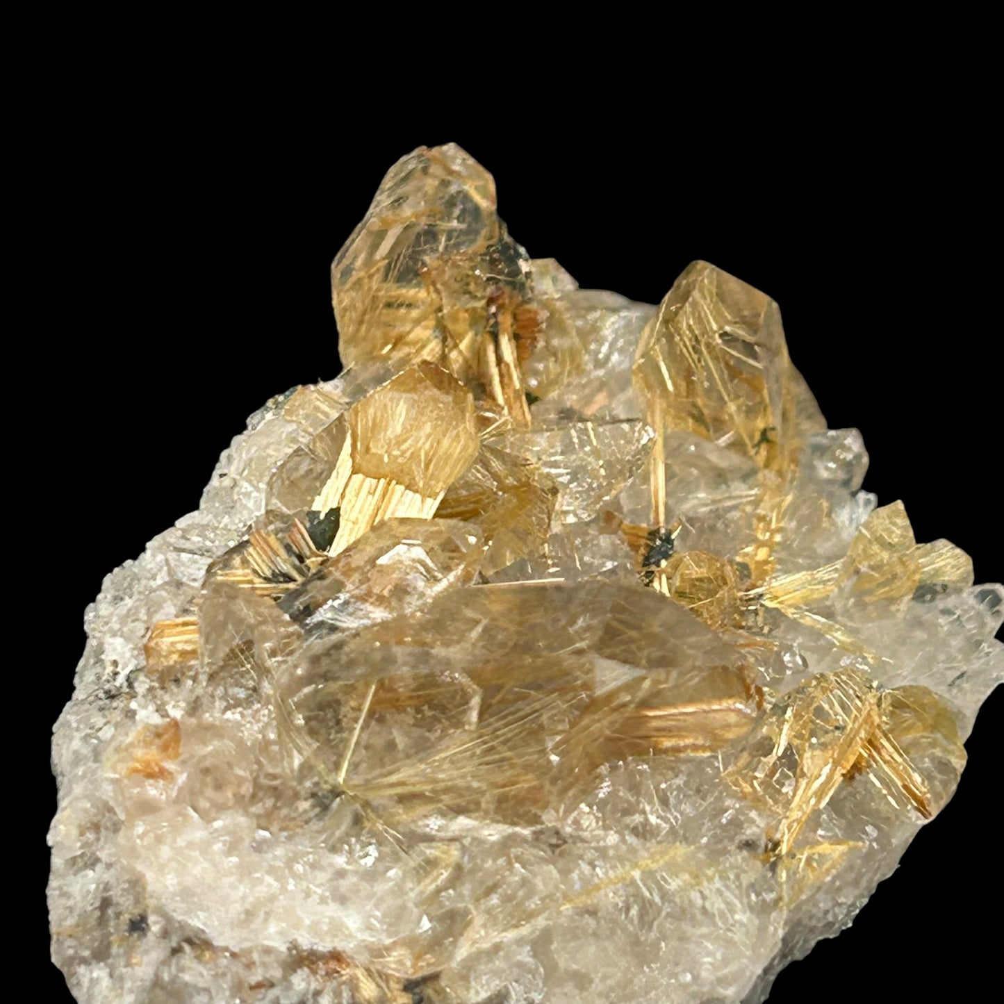 Rutile Stars in Quartz - Novo Horizonte