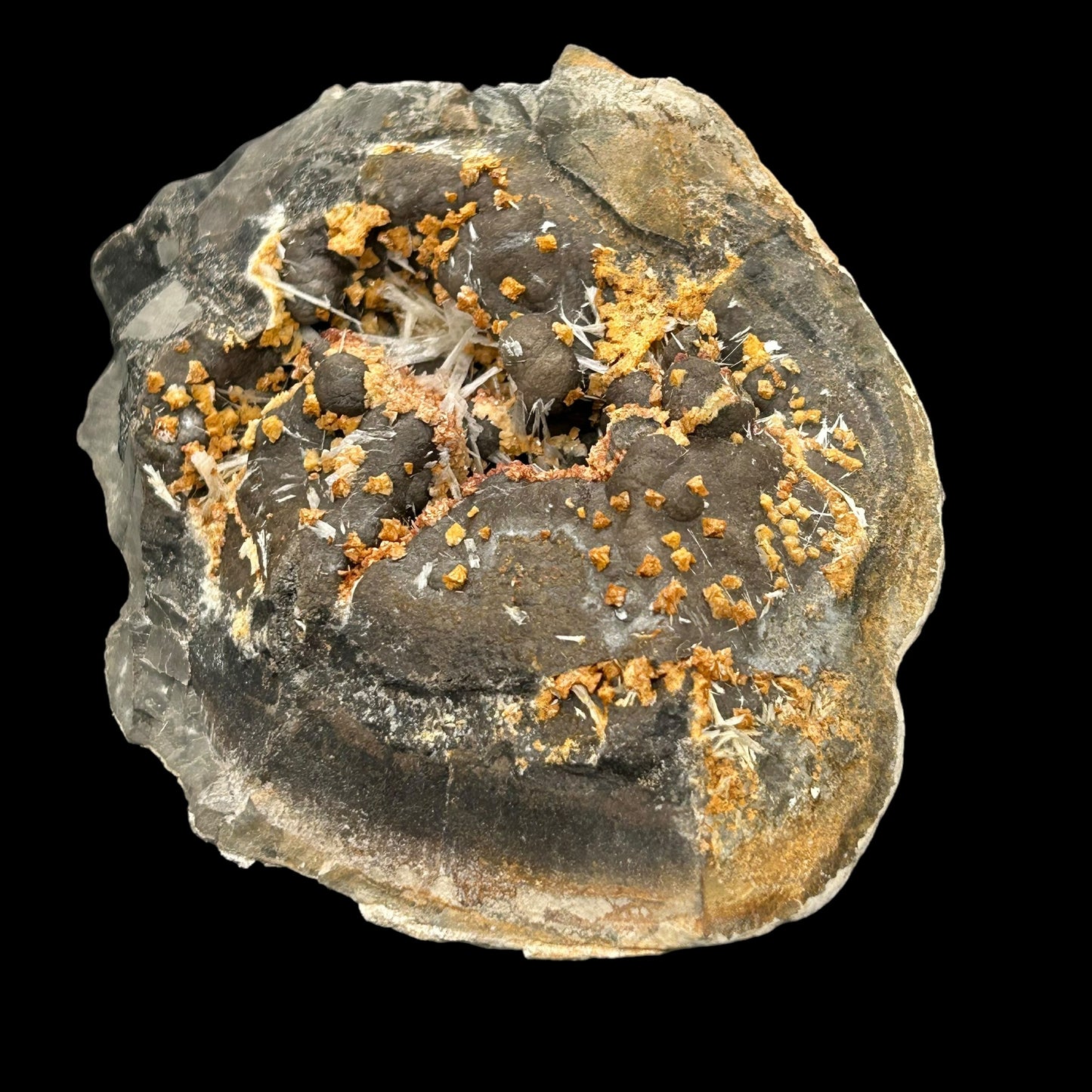 Celestine, Dolomite in Septarie - Serres, Haute-Alpes, France