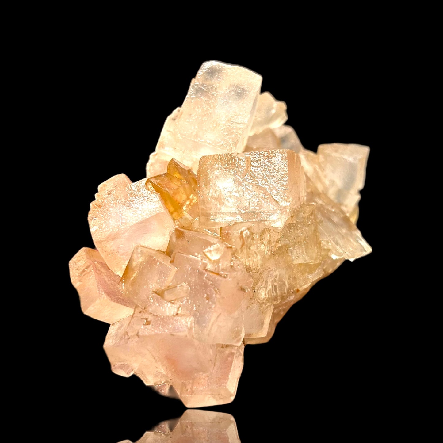 Mangano Halit/e, Gypsum - Bleicherode, Thüringen