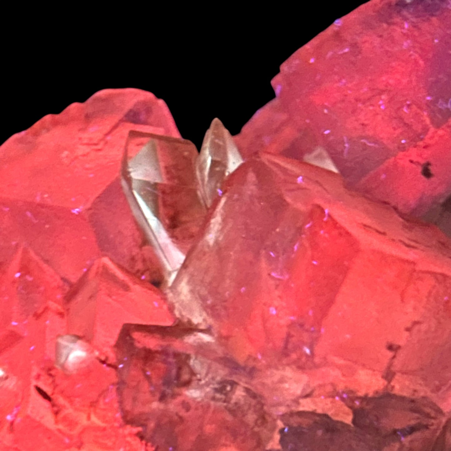 Mangano Halit/e, Gypsum - Bleicherode, Thüringen