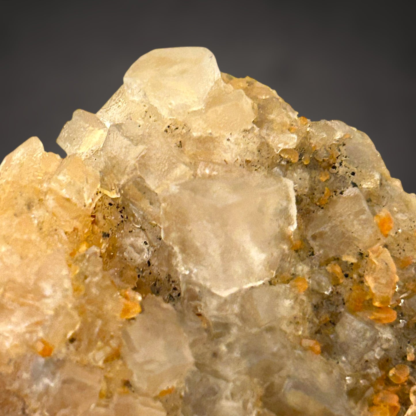 Halit - Bleicherode, Thüringen