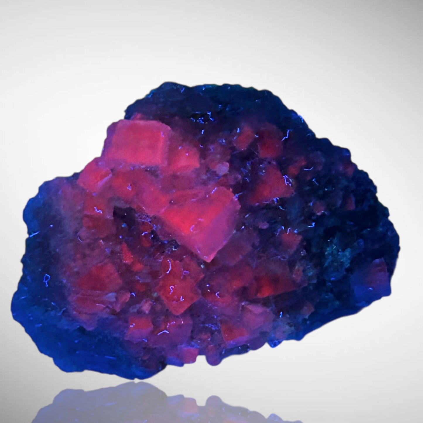 Halit - Bleicherode, Thüringen