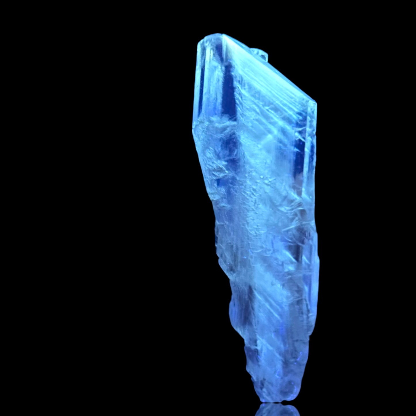 Goldener Gips - Bleicherode 🇩🇪