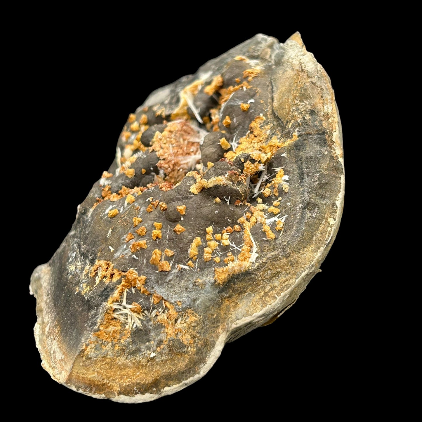 Celestine, Dolomite in Septarie - Serres, Haute-Alpes, France