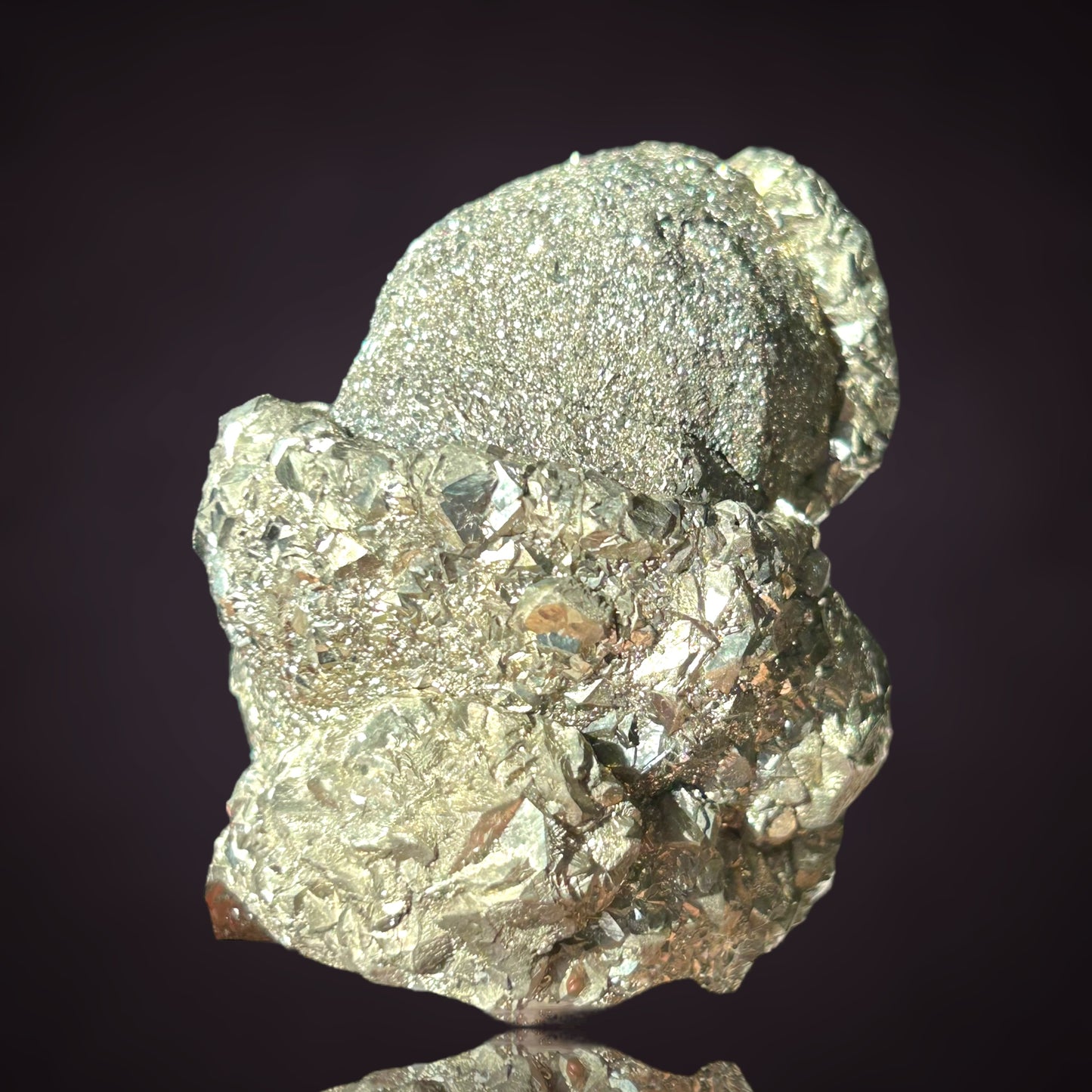 Pyrit/e & Fossil - Hamelspringe, Deutschland