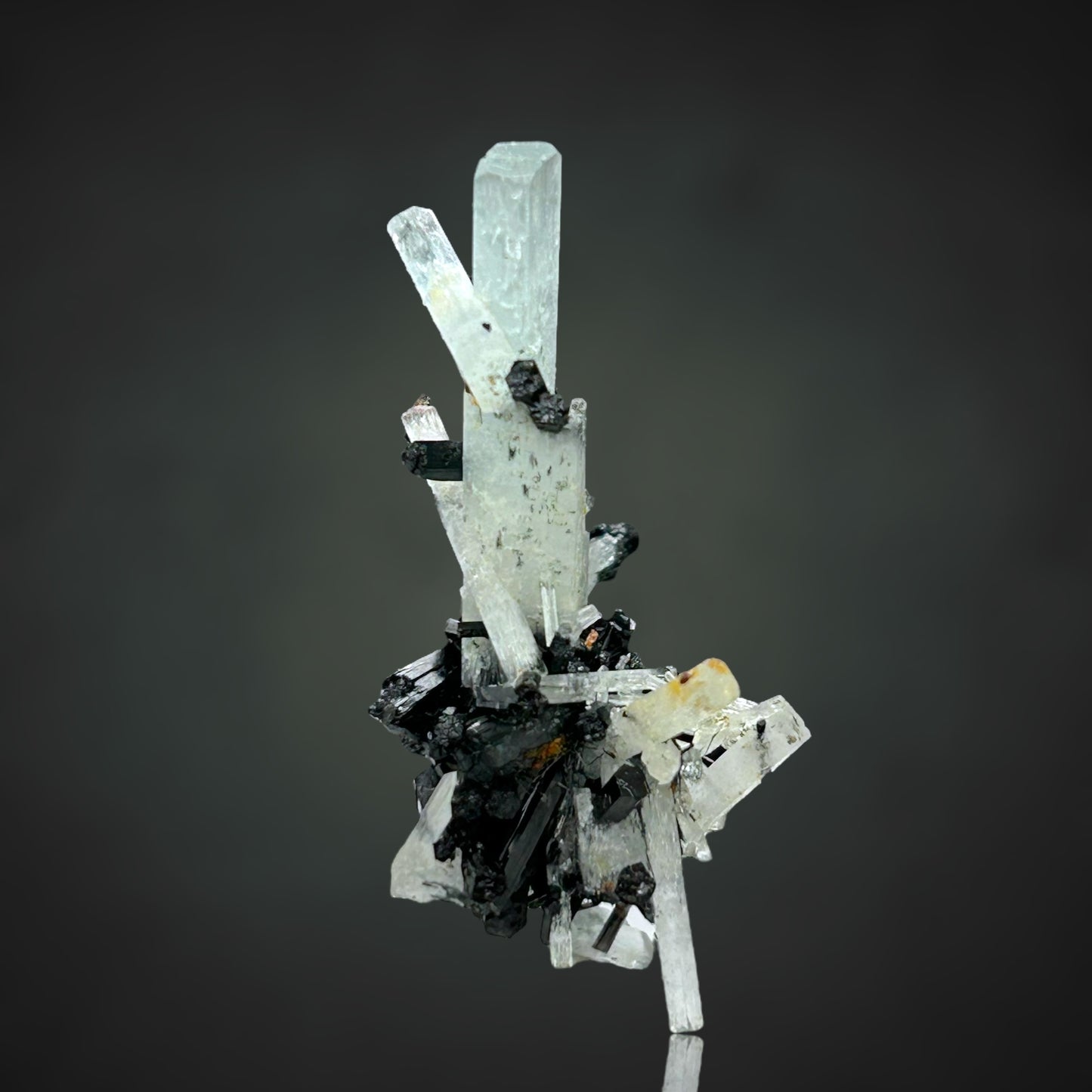 Aquamarin/e, Schorl Tourmaline - Erongo, Namibia